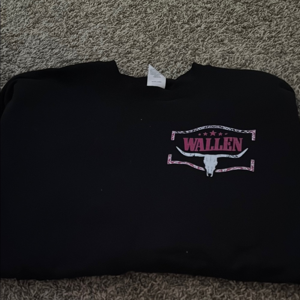 Hanes Black Sweatshirt with Pink Graphic